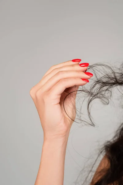 Cropped view of brunette woman with red manicure holding damaged hair isolated on grey — Stock Photo