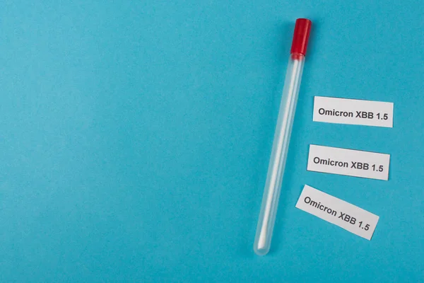 Top view of cotton swab near omicron xbb lettering on blue background — Stock Photo