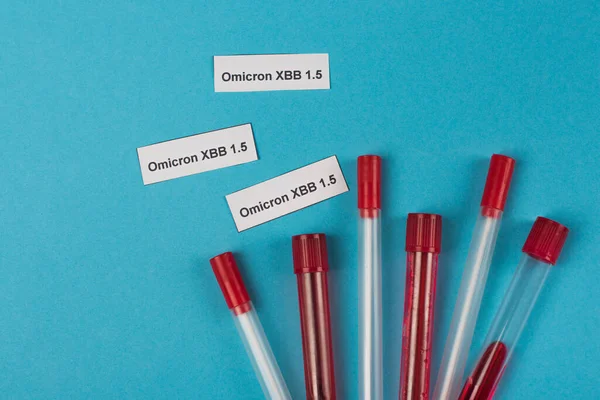 Top view of omicron xbb lettering near throat swabs and test tubes on blue background - foto de stock