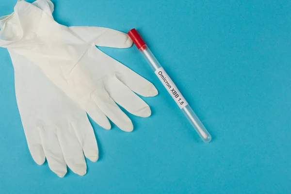 Top view of latex gloves near throat swab with omicron xbb lettering on blue background — Photo de stock
