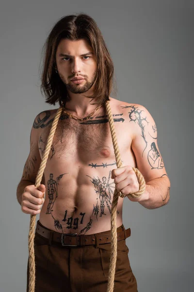 Sexy tattooed man holding rope and looking at camera isolated on grey — Stock Photo