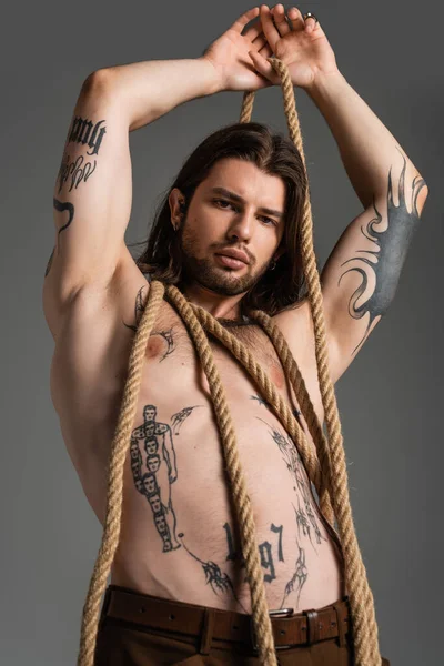 Low angle view of sexy tattooed man posing with rope isolated on grey — Stock Photo