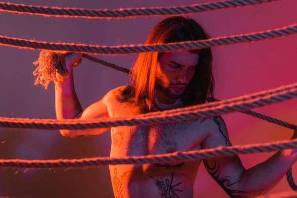 Сексуальна татуйована модель тримає мотузку на фіолетовому фоні зі світлом — стокове фото