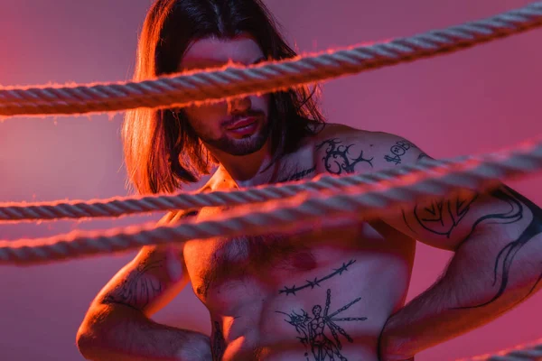 Sexy tattooed man posing near ropes on purple background with light — Stock Photo