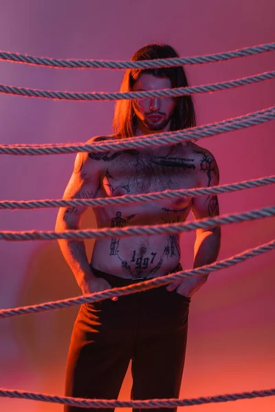 Sexy tattooed model posing near ropes on purple background with light — Stock Photo