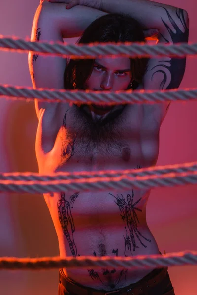 Sexy tattooed man posing near blurred ropes on purple background with light — Stock Photo
