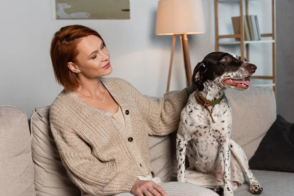Redhead woman in cardigan looking at dalmatian dog on couch — Stock Photo