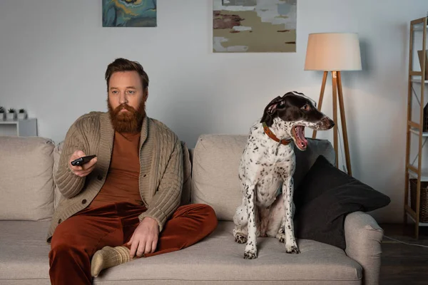 Bearded man watching tv near Dalmatian dog on couch — Photo de stock