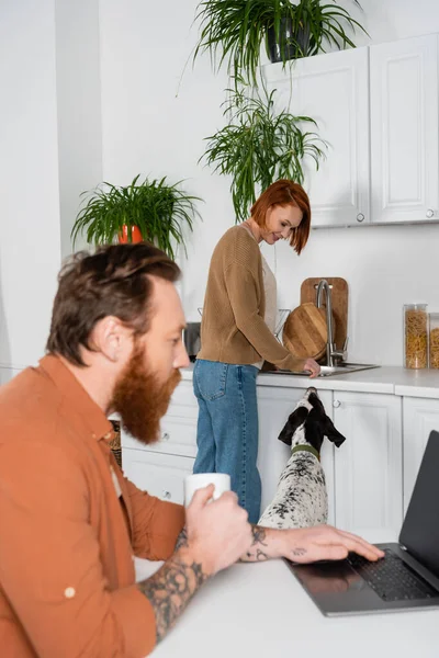 Smiling redhead woman looking at dalmatian dog near blurred husband using laptop in kitchen — Photo de stock