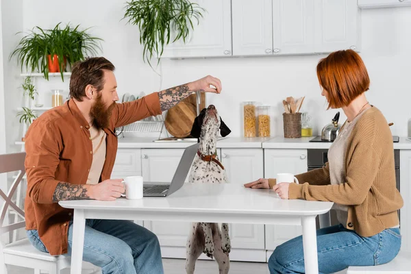 Side view of bearded man feeding dalmatian dog near wife and laptop in kitchen — Photo de stock