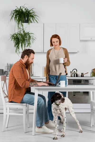Далматинская собака стоит рядом с татуированным мужчиной, используя ноутбук и женщину, держащую чашку на кухне — стоковое фото