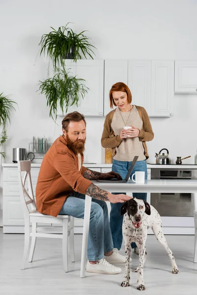 Бородатый мужчина ласкает далматинскую собаку рядом с ноутбуком и жену с чашкой на кухне — стоковое фото