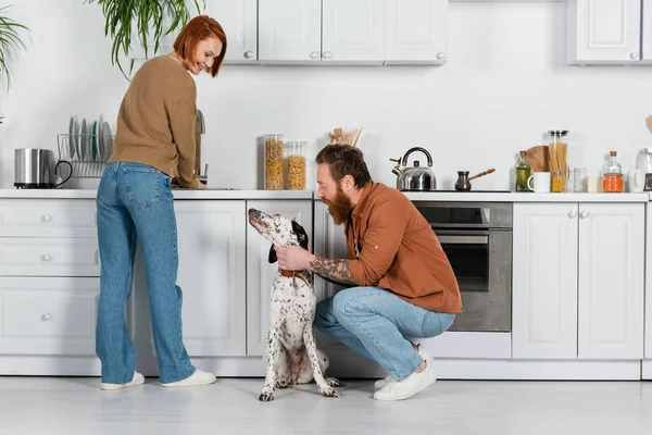 Cheerful woman looking at husband with dalmatian dog in kitchen — Stock Photo