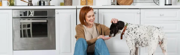 Веселая рыжая женщина кормит далматинскую собаку на кухне дома, баннер — стоковое фото