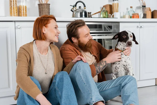 Smiling adult couple looking at dalmatian dog with collar in kitchen - foto de stock