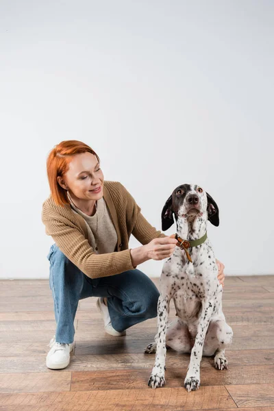 Femme rousse positive portant un collier sur chien dalmate — Photo de stock
