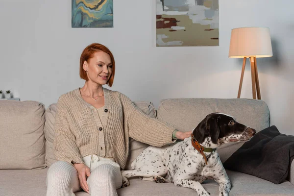 Smiling red haired woman petting dalmatian dog while sitting on couch in living room — Photo de stock
