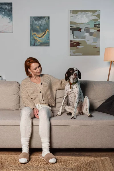 Red haired woman in cardigan looking at dalmatian dog on couch — Photo de stock