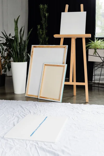 Canvases and wooden easel near plants in studio — Stock Photo