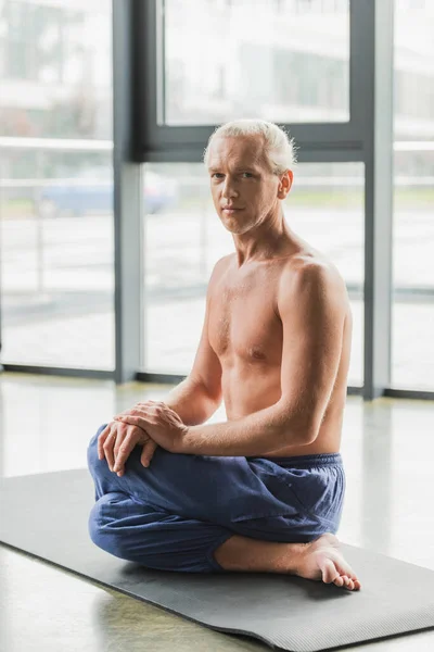 Grey haired man in pants sitting in twisting yoga pose on mat and looking at camera - foto de stock