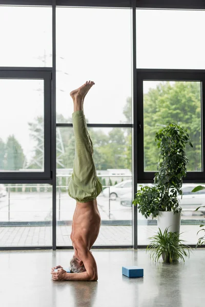 Uomo senza maglietta e dai capelli grigi che fa poggiatesta supportato vicino blocco di schiuma yoga — Foto stock