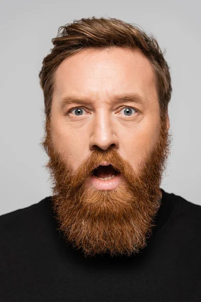Portrait of shocked bearded man with open mouth looking at camera isolated on grey — Stock Photo