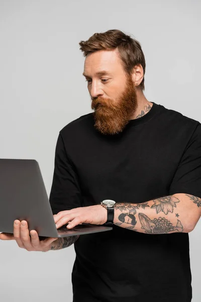 Bearded tattooed freelancer in black t-shirt using laptop isolated on grey — Stock Photo
