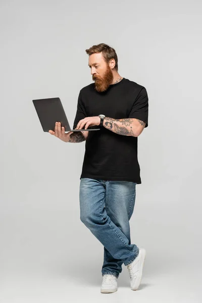 Full length of focused man in jeans and black t-shirt using laptop on grey background — Stockfoto