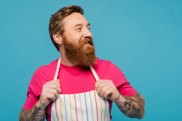Щасливий бородатий і татуйований чоловік в смугастій фартусі і футболці з пурпуровою сорочкою дивиться ізольовано на синьому — стокове фото