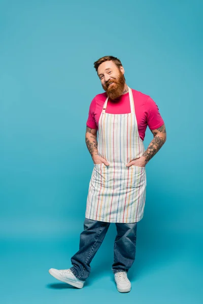 Joyful bearded man posing with hands in pockets of striped apron on blue background — Foto stock