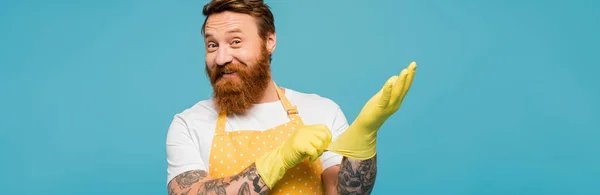 Joyeux homme barbu en tablier pointillé portant des gants en caoutchouc et souriant à la caméra isolé sur bleu, bannière — Photo de stock