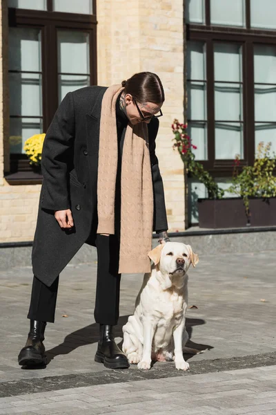 In voller Länge glücklicher junger Mann in Mantel und stylischer Sonnenbrille kuschelt Labrador auf urbaner Straße — Stockfoto