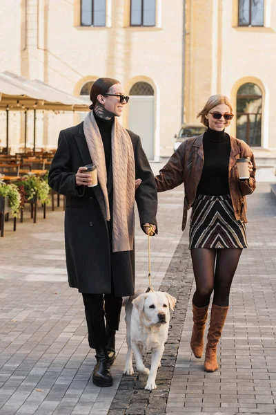 Comprimento total de casal feliz em óculos de sol elegantes segurando copos de papel enquanto caminhava com o cão — Fotografia de Stock