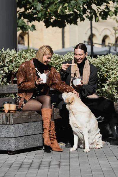 Cheerful young couple eating takeaway asian food while sitting on bench near labrador dog — Stockfoto