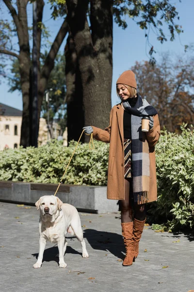 Full length of joyful woman in hat and coat holding paper cup while walking with labrador dog — Stock Photo
