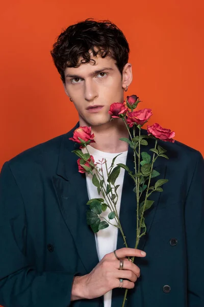 Fashionable model in blazer holding roses isolated on red - foto de stock