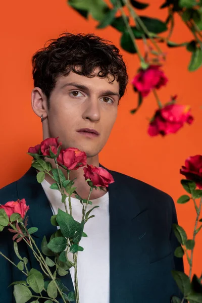 Hombre rizado en camiseta y chaqueta mirando a la cámara cerca de rosas aisladas en rojo - foto de stock