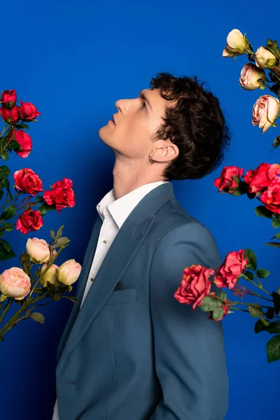 Side view of stylish brunette man in jacket and shirt standing near roses on blue background — Photo de stock