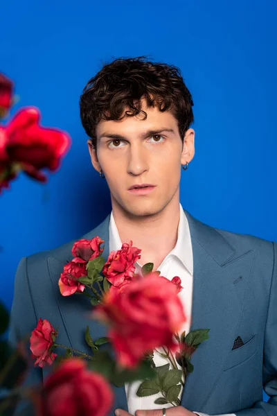 Hombre rizado en chaqueta mirando a la cámara cerca de flores rojas sobre fondo azul - foto de stock