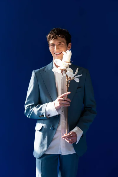 Elegante hombre de traje y camisa que sostiene la rama magnolia aislado en azul marino - foto de stock