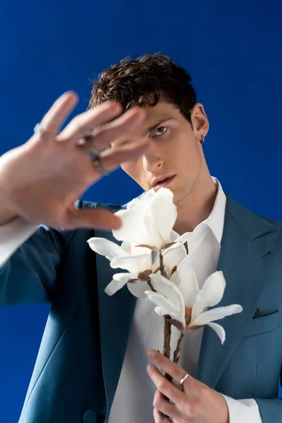 Elegante hombre con chaqueta sujetando magnolia y cubriendo la cara aislada en azul - foto de stock