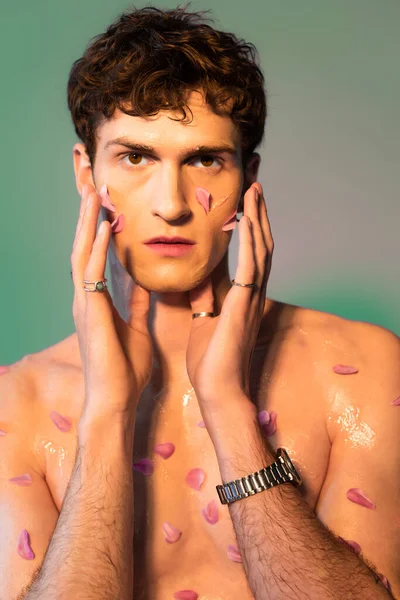 Portrait of brunette man with petals on skin touching face on colorful background — Stock Photo