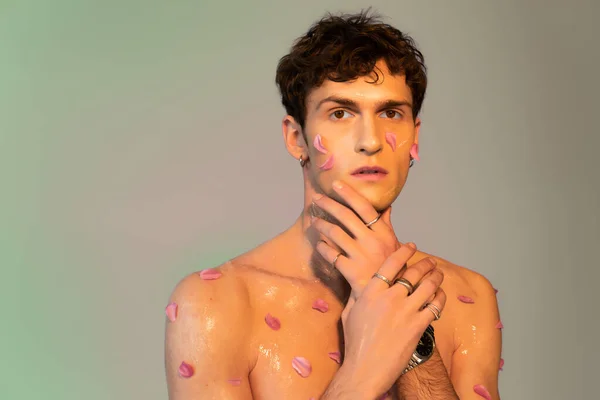 Giovane uomo con petali sul corpo toccare il viso su sfondo colorato — Foto stock