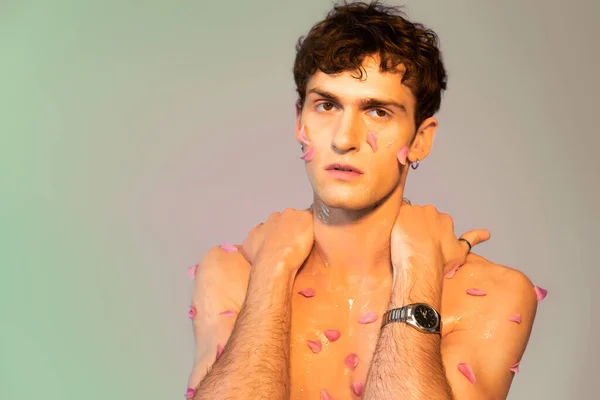 Brunette man with petals on body looking at camera on colorful background - foto de stock
