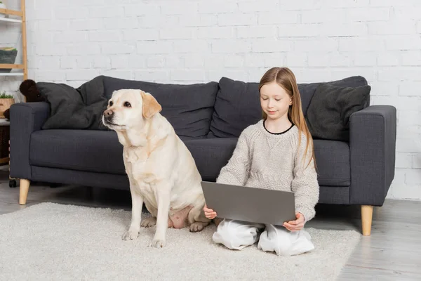 Positive preteen girl sitting on floor carpet near labrador dog and looking at laptop — Fotografia de Stock