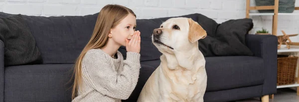 Preteen fille couvrant la bouche avec la main tout en disant secret pour chien labrador à la maison, bannière — Photo de stock