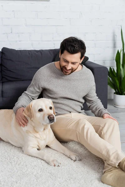 Labrador dog lying on floor carpet near happy bearded man — Stock Photo
