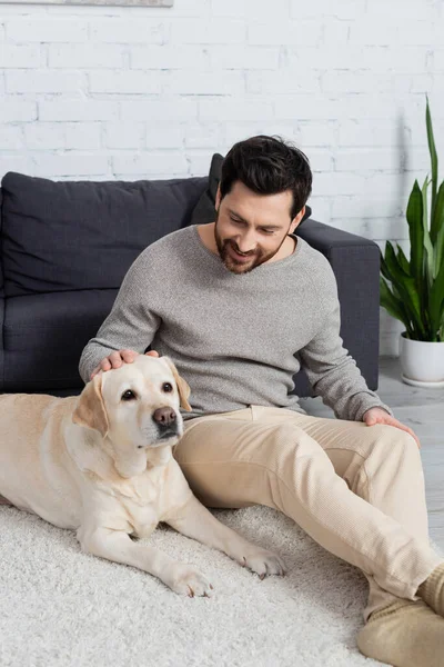Cheerful bearded man sitting on floor near sofa and petting labrador dog — Stock Photo