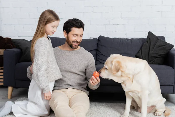 Cheerful bearded man hugging daughter while holding toy near labrador dog in living room — Stock Photo