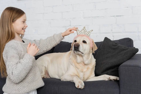 Happy preteen girl adjusting toy crown on labrador lying on couch — Stock Photo
